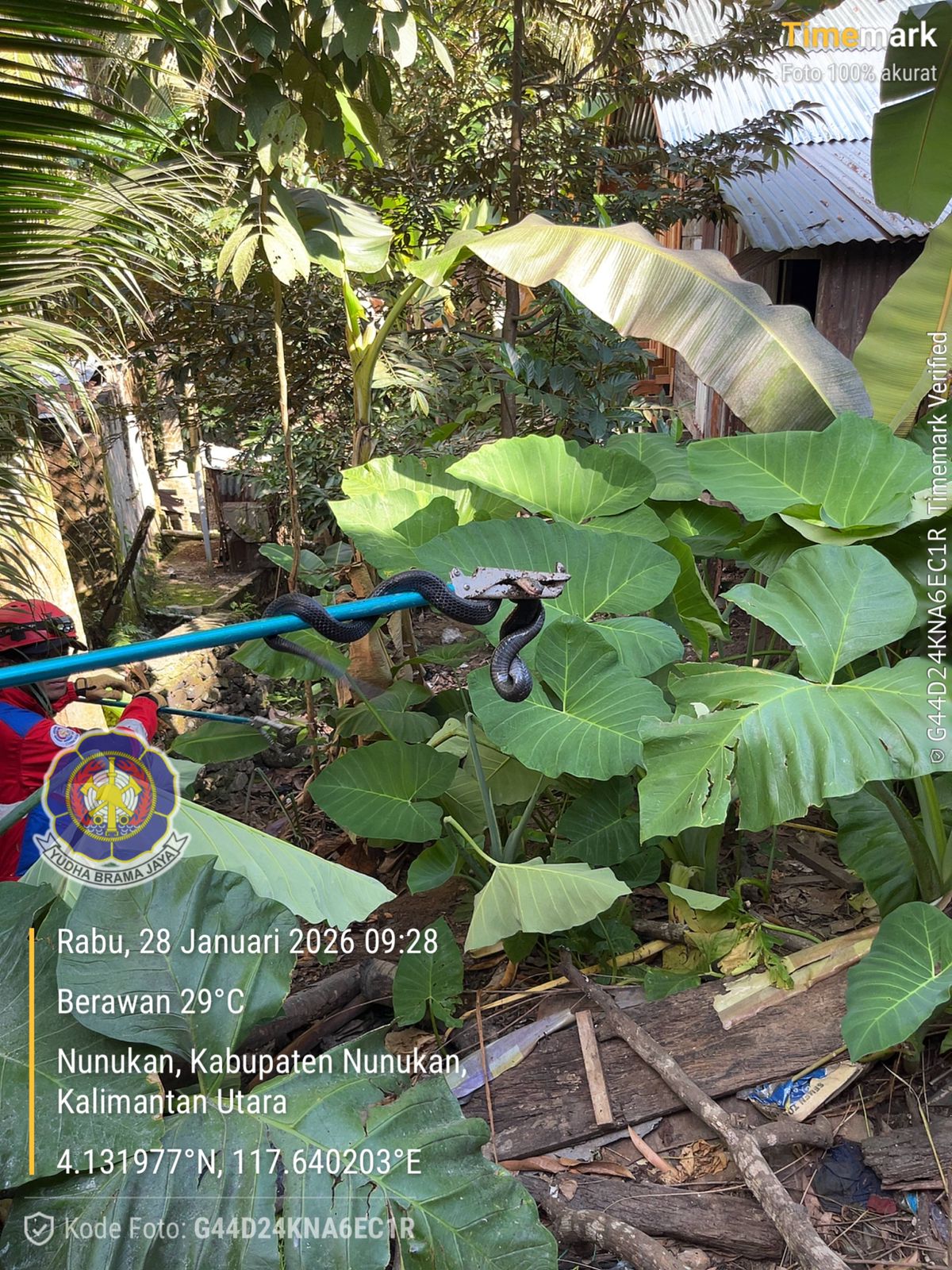 BERITA GAMBAR SIMPATIK